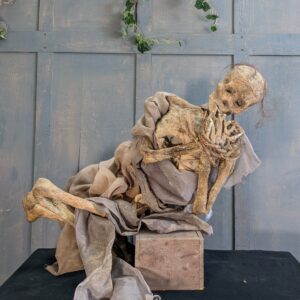 Extremely Realistic Small Bound Movie Prop Skeleton Mounted on a Block (SOLD)
