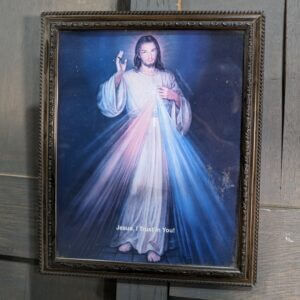 'Jesus I Trust in You' Print